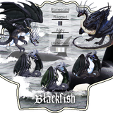 Blackfish card