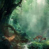 ardeep forest small.png