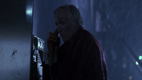 photo 3 2025 02 25 17 12 08.jpg