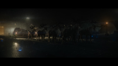 photo 4 2025 02 25 23 46 20.jpg