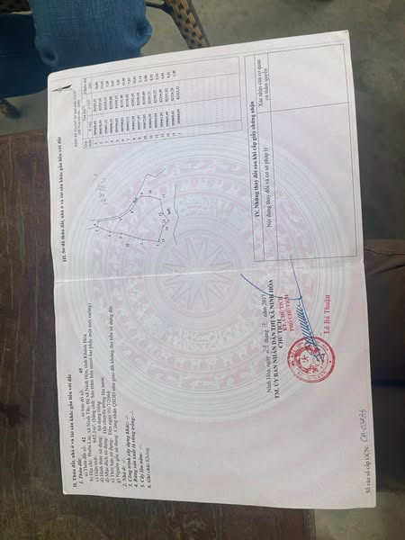 480695261 9401313583270245 3271419246316465030 n.jpg