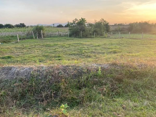 481775363 9401313619936908 9008789332965357388 n.jpg