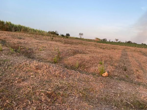 481124242 9401313833270220 761229592697290232 n.jpg