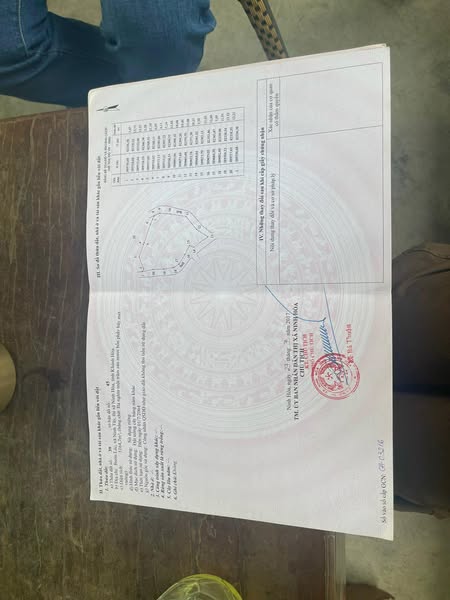 480951830 9401313366603600 3694062061307578739 n.jpg