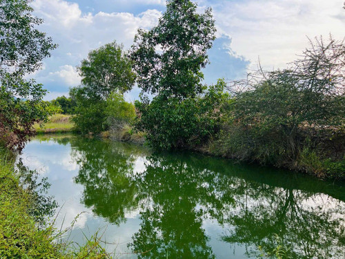 481452051 2947943118708308 4682980458785633933 n.jpg