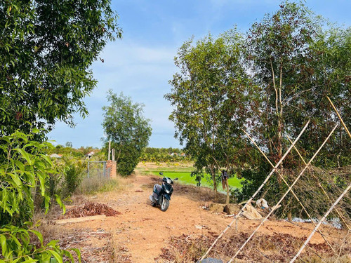 482012226 2947943085374978 5064673547408435331 n.jpg