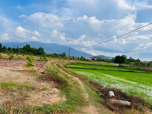 481820258 2947943128708307 3255826832467221512 n.jpg