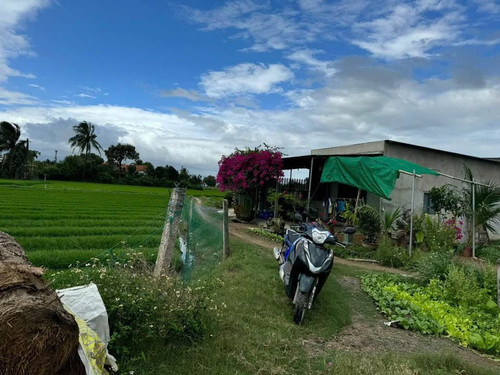 481254550 122140682306556963 3044399823110233335 n.jpg