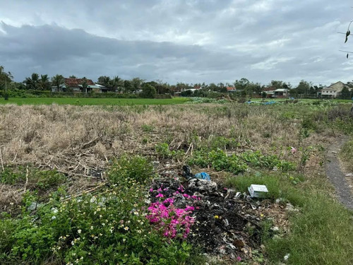 481476245 122140682216556963 5406422855398486784 n.jpg