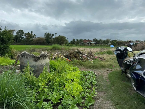 480606611 122140682252556963 2269510574075994041 n.jpg