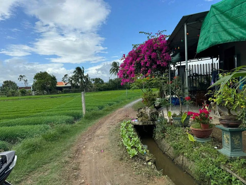 480616448 122140682348556963 3087063253880161031 n.jpg