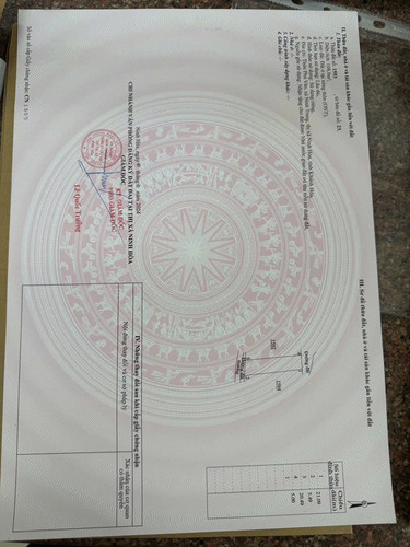 480709158 1158517359018306 1078215805193121676 n.jpg