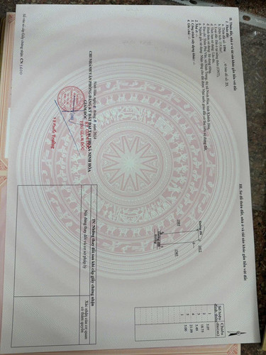 480589072 1158517315684977 8719057133737045387 n.jpg