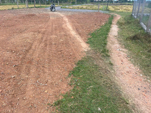 480004645 1158517319018310 2522810608945956448 n.jpg