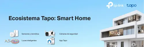 D NQ NP 851051 MLA81197634676 122024 OO.webp