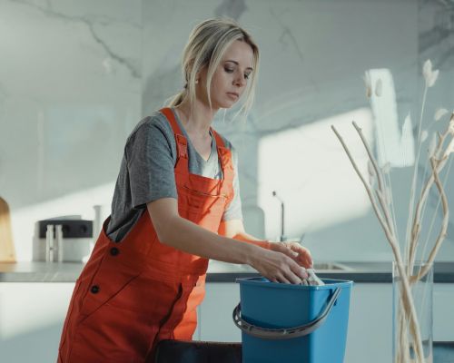 Professional Cleaning Services in Riverside.jpg