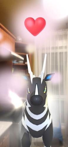 IMG 4392.jpg