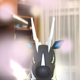 IMG 4392