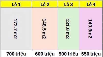 481295698 2947875032048450 6816744173090090280 n.jpg