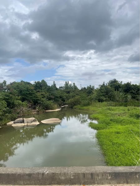 480600836 2987359488107195 4728314068107207762 n.jpg