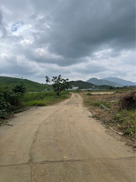 480519493 2987359484773862 1057317360252676885 n.jpg