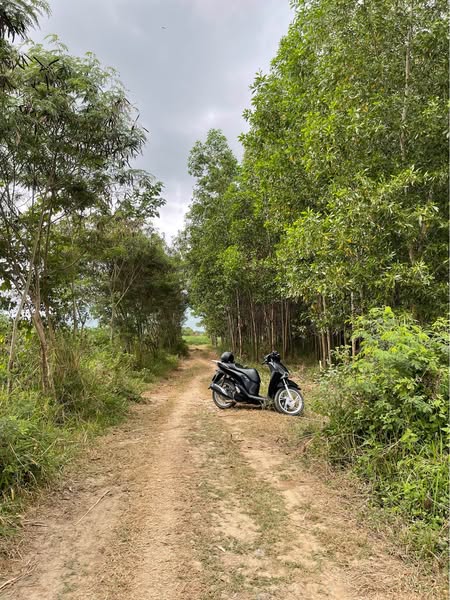 480660882 2987359621440515 7545212744591762428 n.jpg