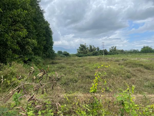 480649285 2987359538107190 220616742219719086 n.jpg