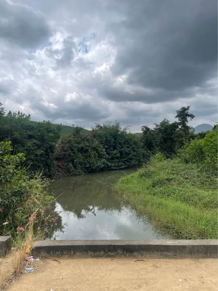 481168887 2987359511440526 1912172414202486113 n.jpg