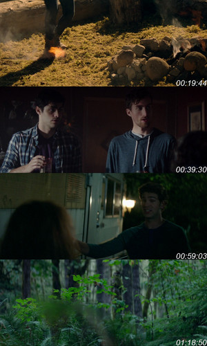 Cabin Fever (2016) www.10xflix.com Hindi ORG Dual Audio 1080p BluRay.jpg