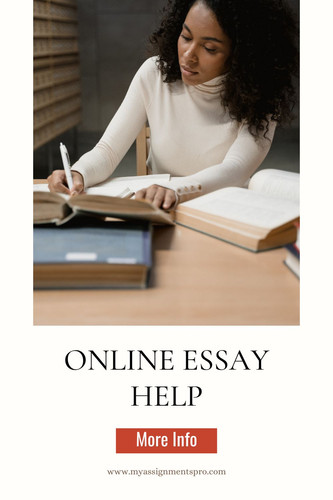 online essay help.jpg