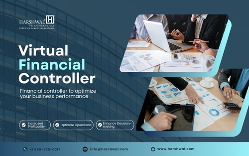virtual financial controller optimize business performance HCLLP.jpg