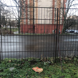 IMG 3955