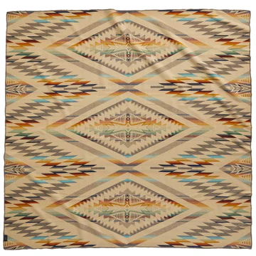 pendleton blanket.webp