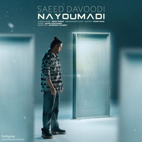 دانلود آهنگ سعید داوودی به نام نیومدی