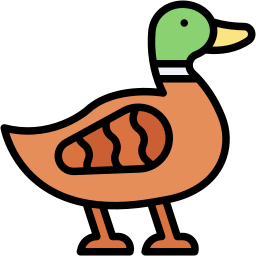 Duck
