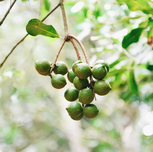 Screenshot 2025 02 26 195212.jpg