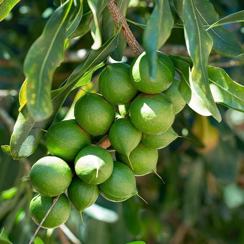 Screenshot 2025 02 26 195239.jpg