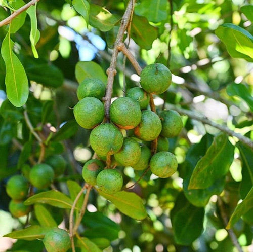 Screenshot 2025 02 26 195036.jpg