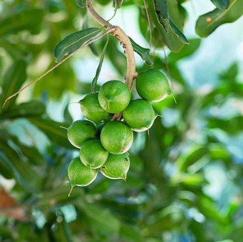 Screenshot 2025 02 26 195338.jpg