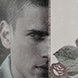 icon by neatmonster messdestruction (102)