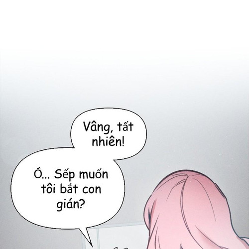 100.jpg
