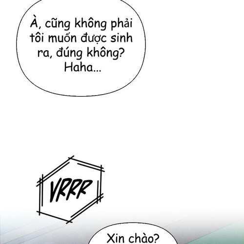 95.jpg