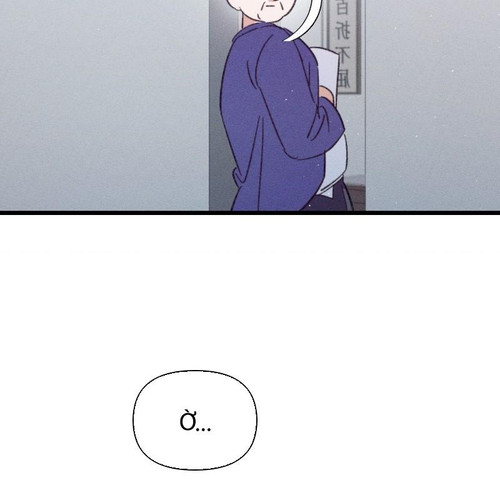 115.jpg