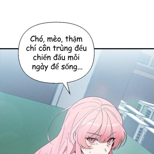 88.jpg
