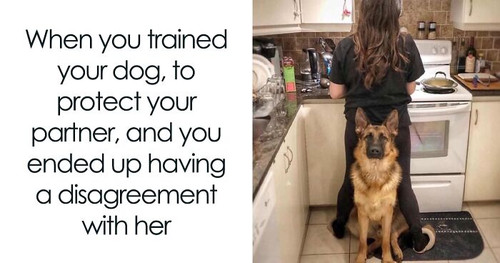 funny dog memes teamk9 fb30 png 700.jpg
