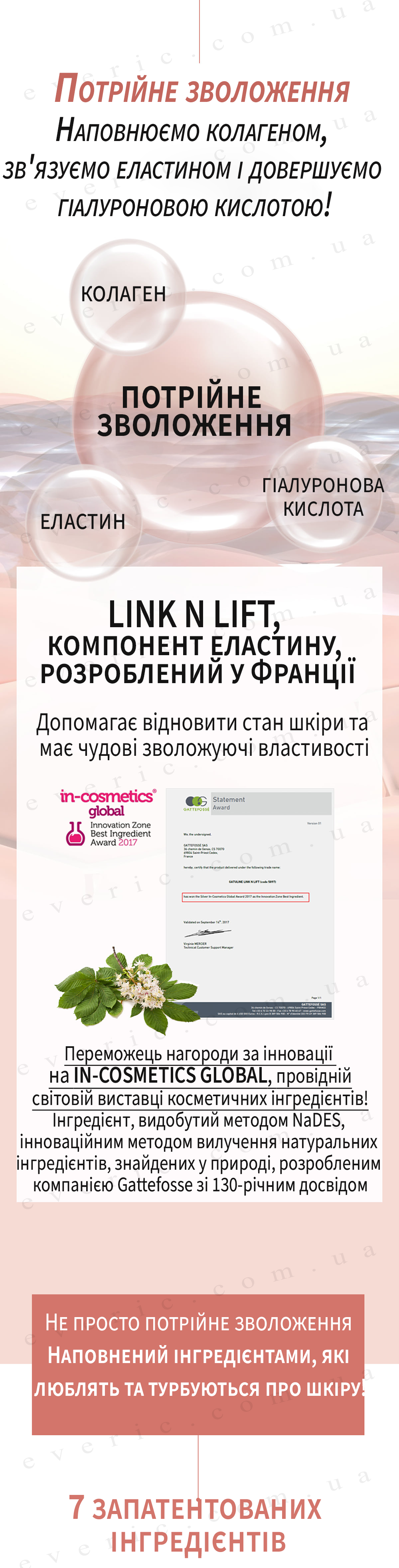6 копия
