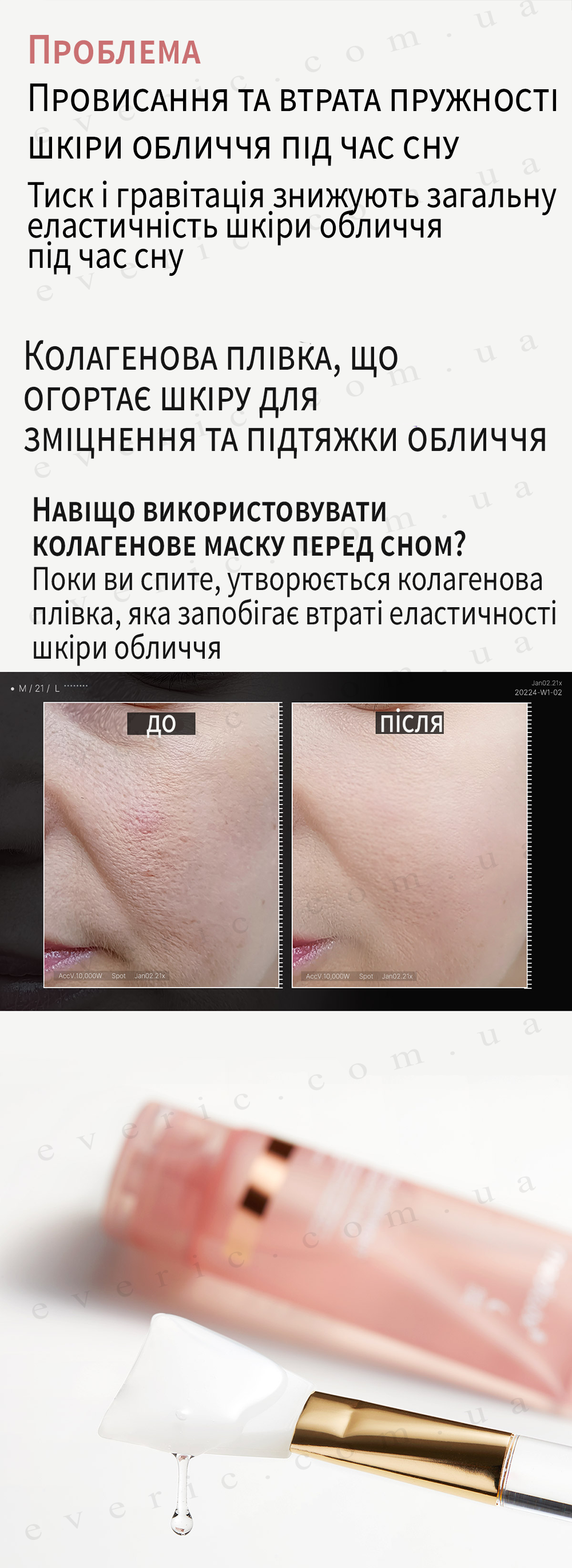 6 копия