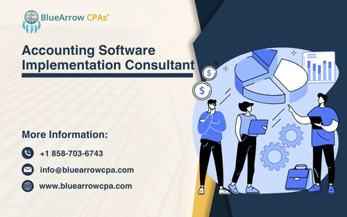 Accounting Software Implementation Consultant.jpg