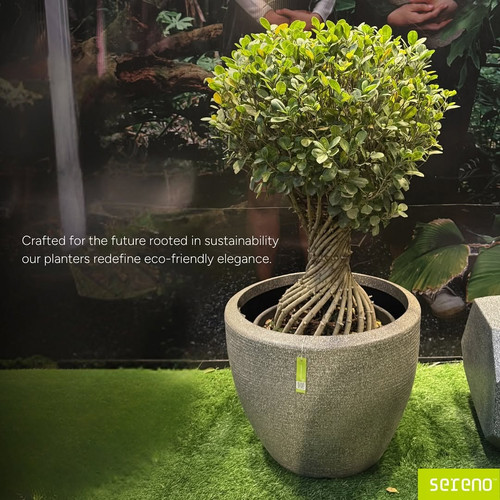 Large Planters – Make a Statement with Size.jpg