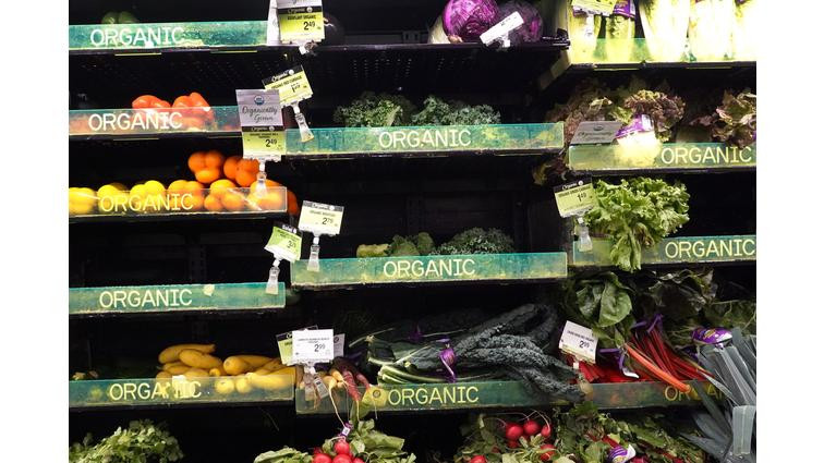 Donald Trump broke the law by removing climate change references from USDA websites, lawsuit alleges